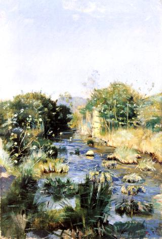 River Landscape