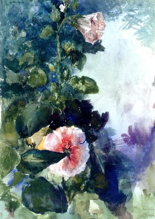 Hollyhocks