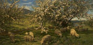 Apple Blossoms in the Upper Wye