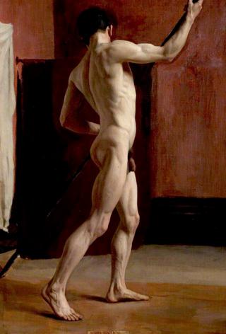 Standing Male Nude