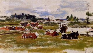 Cows in Pasture