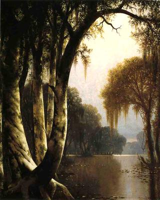 Bayou Landscape