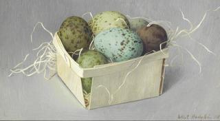 Gull's eggs in a box