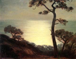 Moonlight at Torrey Pines