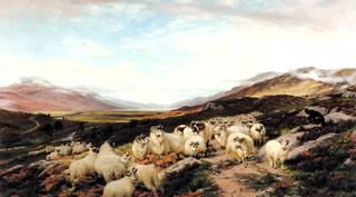 Gathering the Flocks, Loch Maree