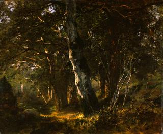 Forest of Fontainebleau