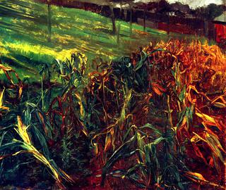 Corn Field