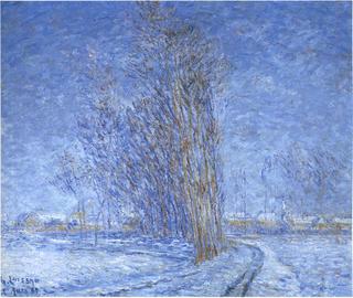 Landscape in Snow