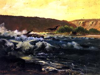 Osprey's Nest, Snake River