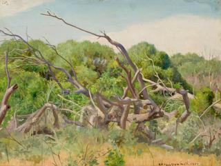 Landscape with Branches