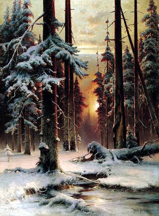 Winter Sunset in the Forest