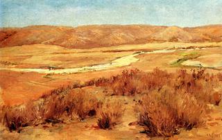 Looking Down Mission Valley in Summer