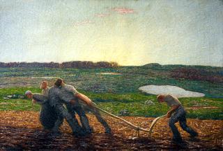 Ploughing in Argentina