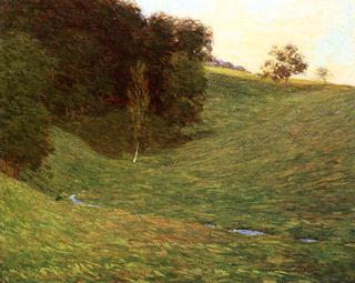 Creek by the Woods in Summer