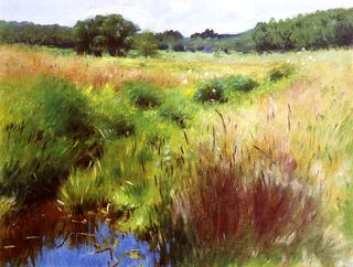 Marshland, Medfield