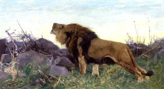 Roaring Lion