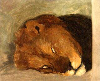 Sleeping Lion