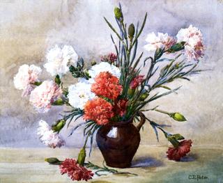 Carnations