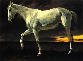 White Horse and Sunset
