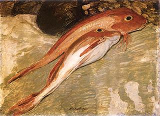 Gurnards