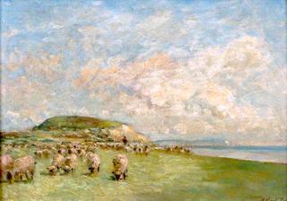 Sheep Grazing on Hengistbury Head