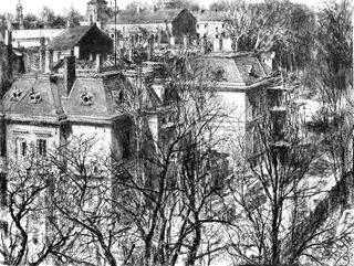 Houses Behind Leafless Trees