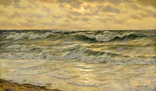 The Surf
