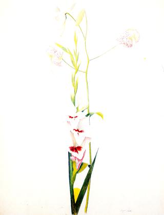 Gladiolus and Lilies