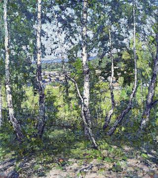 Birch Trees