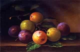 From the Garden