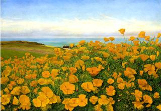 A Field of Buttercups by the Coast