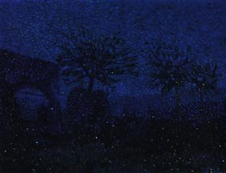 Fireflies in Borgotaro