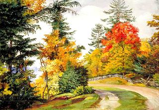 Autumn Tints near Niagara, United States