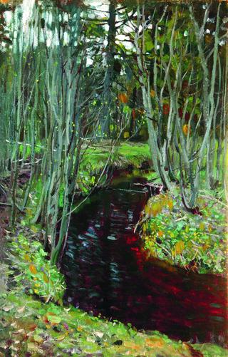 The Forest Stream