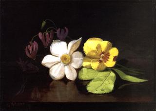 Still Life: A Handful of Flowers