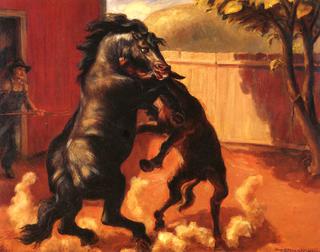 Stallion and Jack Fighting