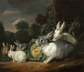 Rabbits