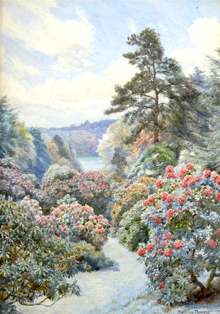 Azaleas in flower at Trebah, Cornwall