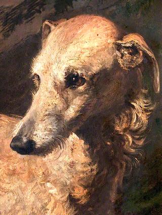 “司机”的头像，戈登第五公爵拥有的猎鹿犬