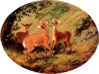 Three Fawns