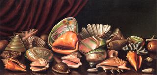 Still LIfe with Exotic Shells