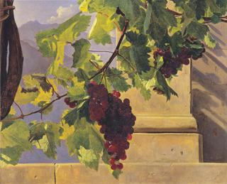 Grapes