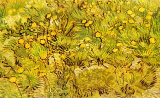 Meadow with Yellow Flowers