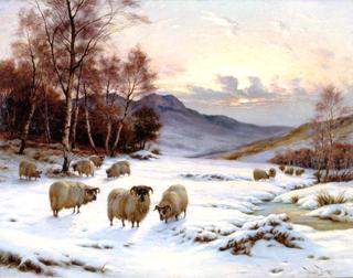 Winter Pasture