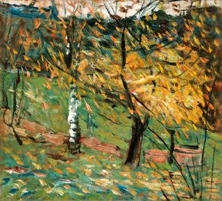 The White Birch