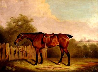 A Saddled Bay Hunter in a Landscape, beside a Fence