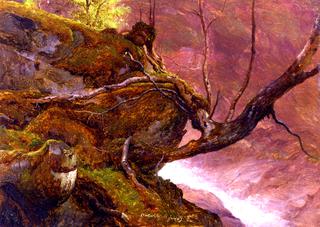 Tree Study, by a Stream, Granvin