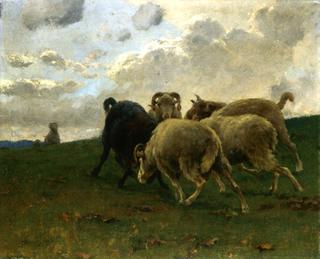 Mountain Goats