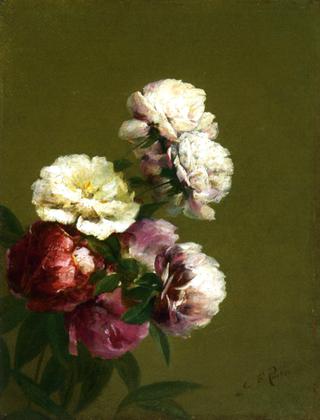 Peonies in a Bowl