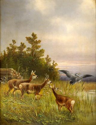 Deer and Herron